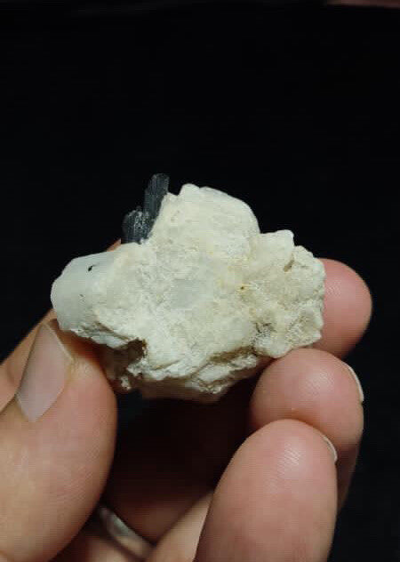 Tourmaline on albite