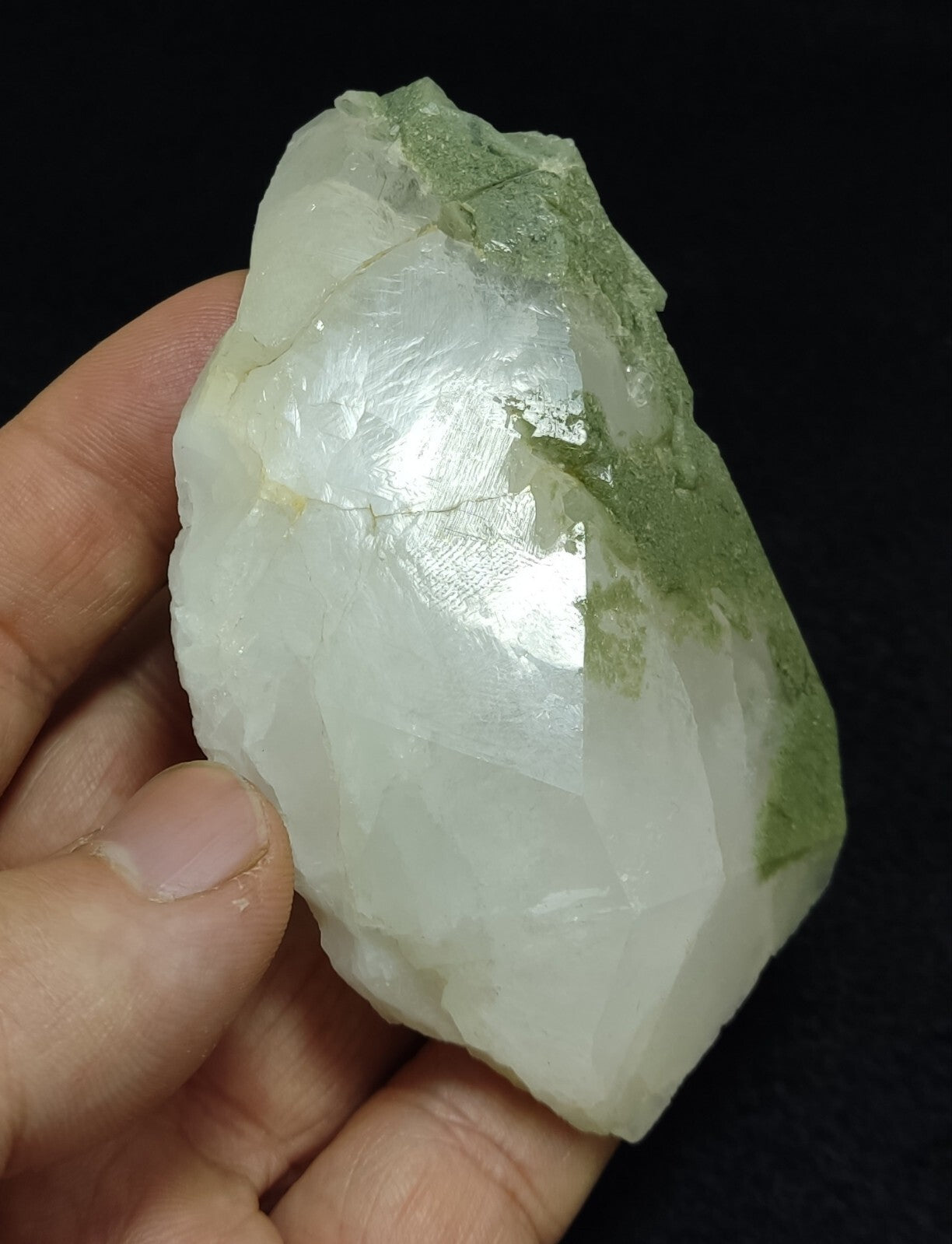 Chlorite quartz terminated crystal specimen 187 grams
