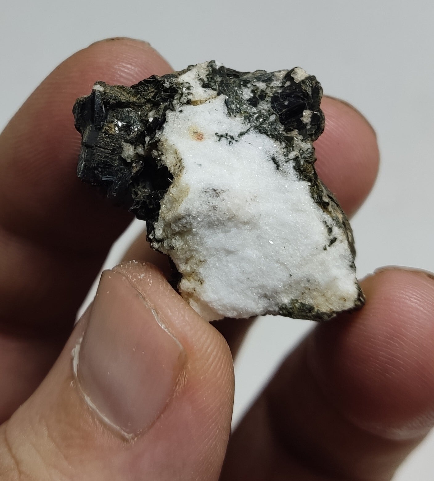 An aesthetic specimen of aegirine crystals on matrix 18 grams