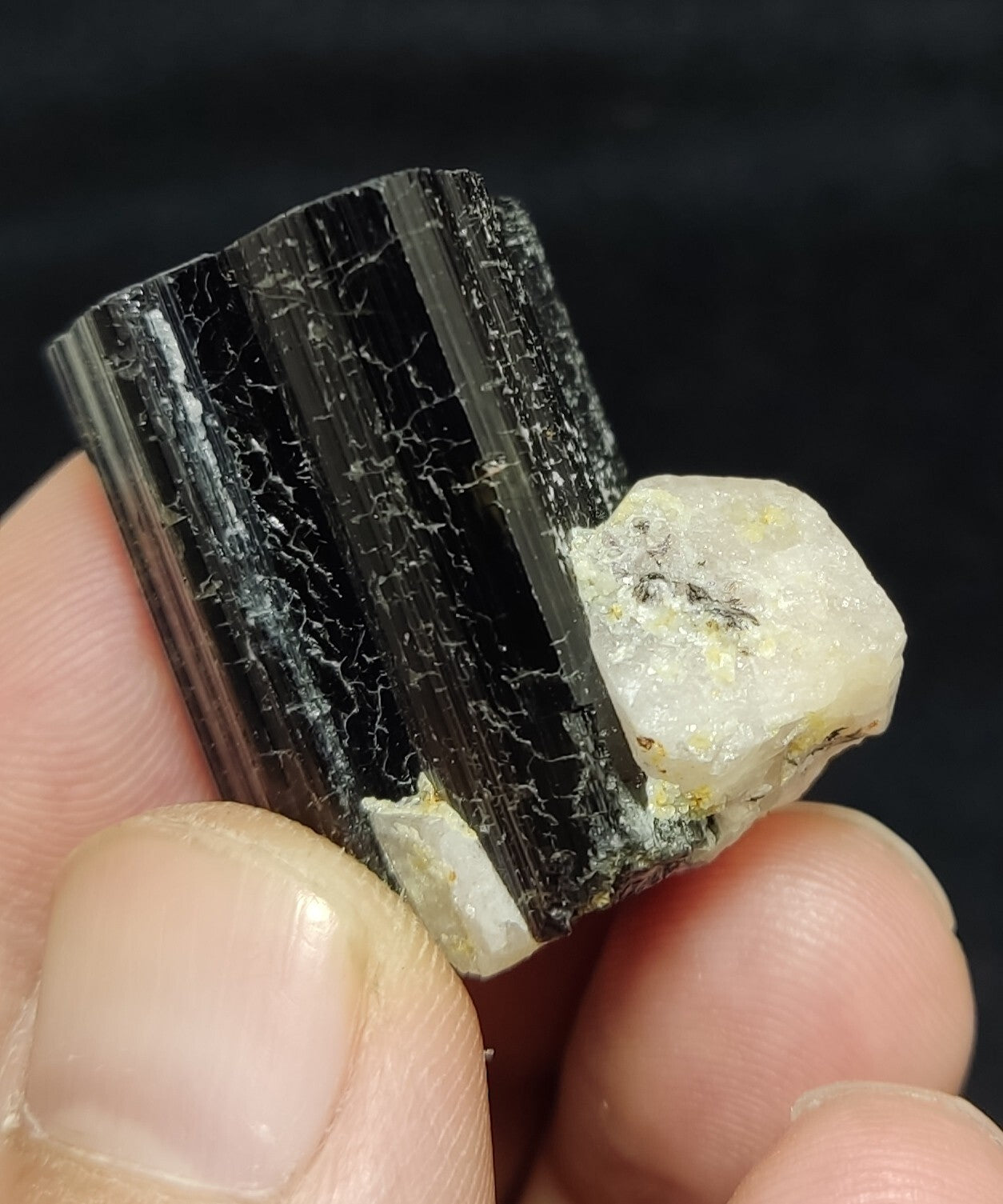 An Aesthetic specimen of black Tourmaline crystal with apatite 34 grams