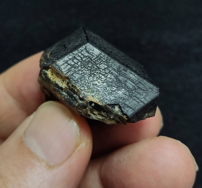 Garnet variety andradite crystal  specimen 41 grams