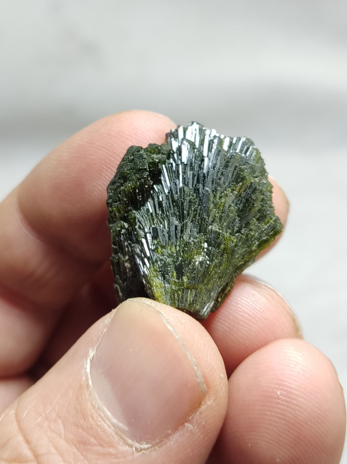 Natural Dark Green Epidotes crystals Random Selection.