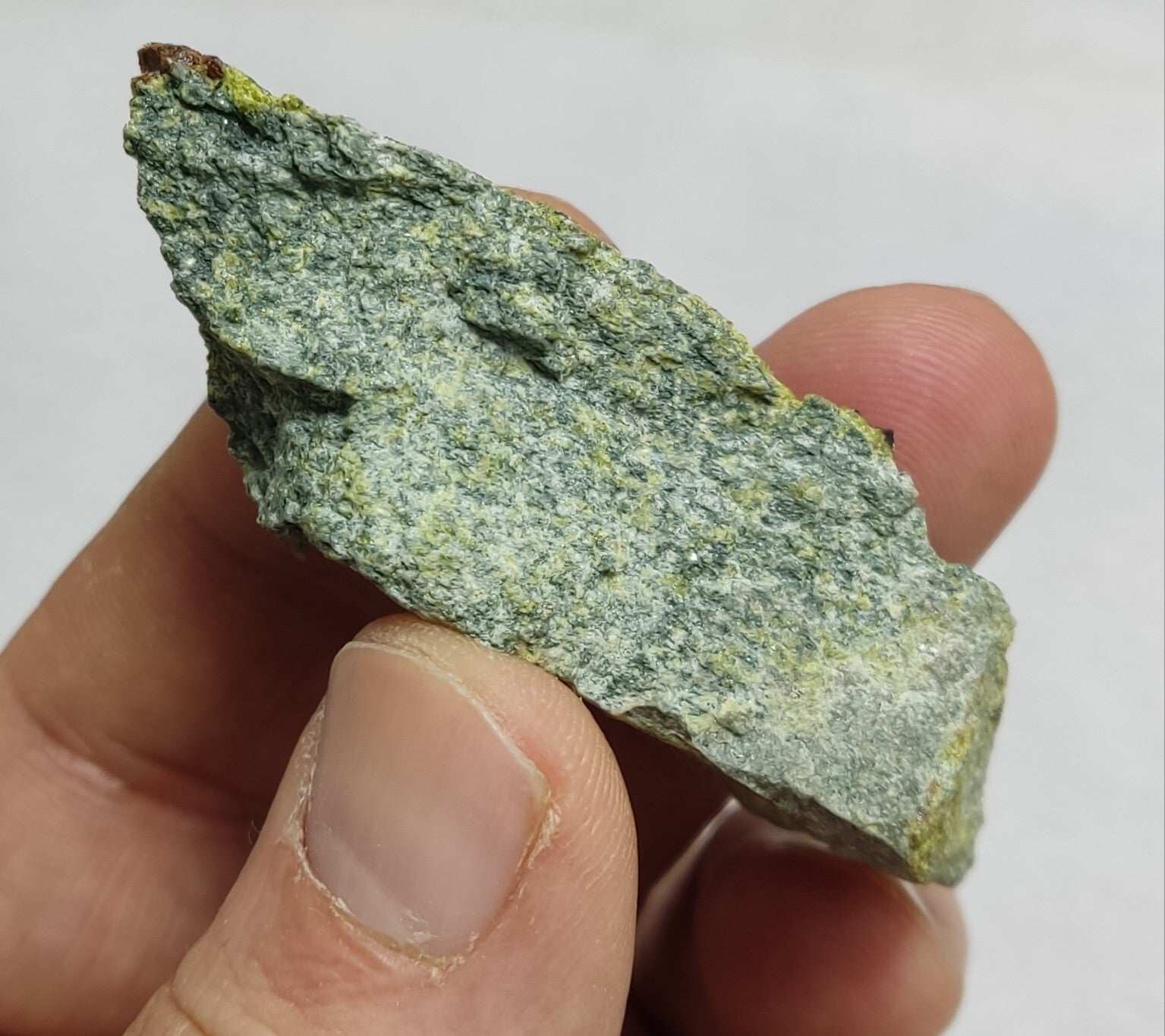 Andradite garnets on matrix with epidote 43 grams