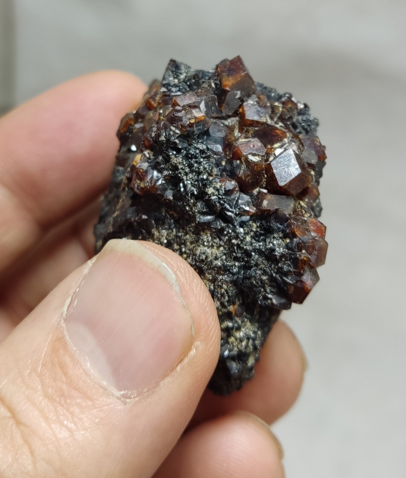 An Aesthetic specimen of andradite garnets on matrix 71 grams