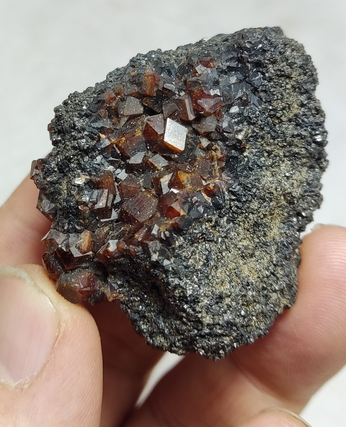 An Aesthetic specimen of andradite garnets on matrix 71 grams
