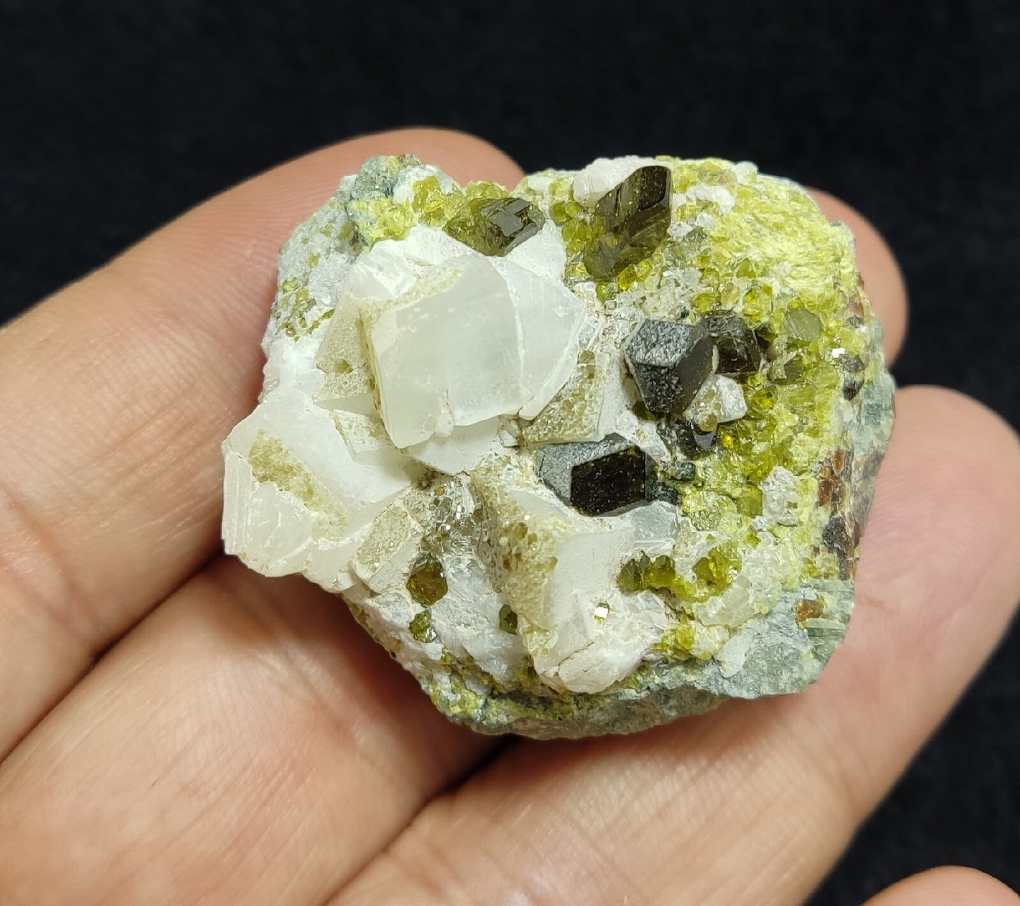 Andradite garnets on matrix with epidote and calcite 41 grams