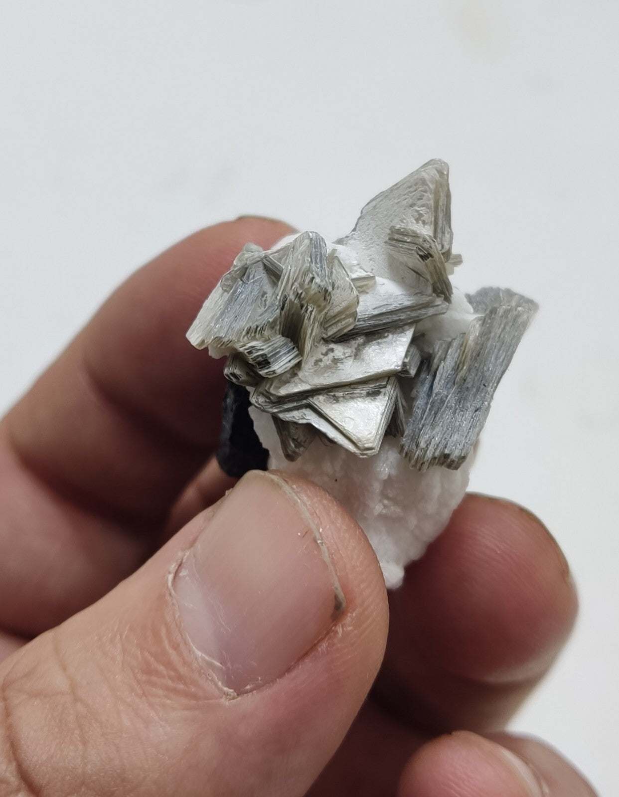 An Aesthetic specimen of muscovite with Tourmaline and albite 26 grams