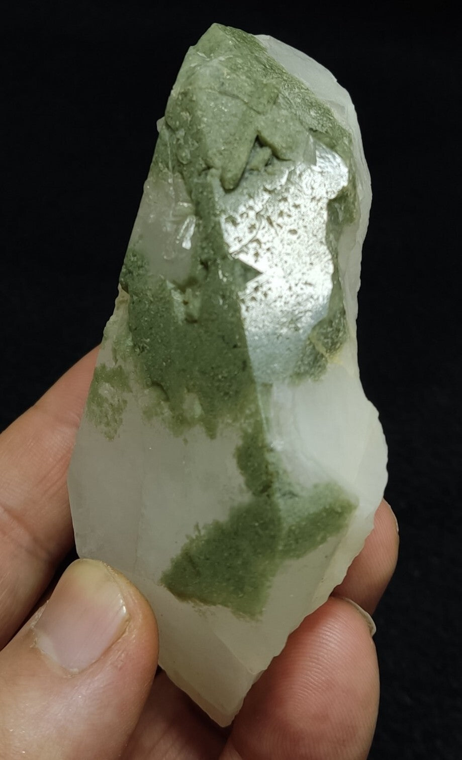 Chlorite quartz terminated crystal specimen 187 grams