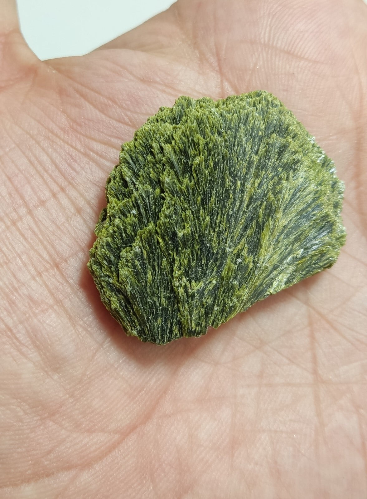 An aesthetic specimen of epidote crystal spray type 22 grams