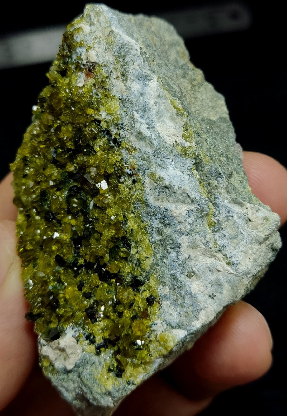 Andradite Garnet On Matrix With Epidotes 101 grams