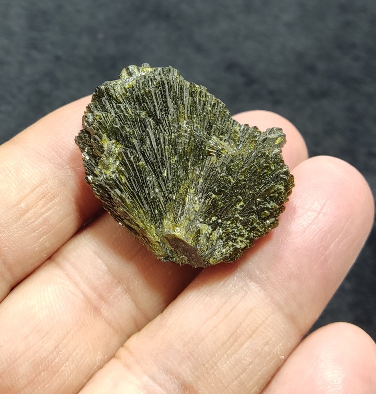Single natural Epidote Crystal spray formations 22 grams