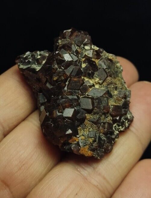 Natural Andradite Garnets Cluster 51 grams
