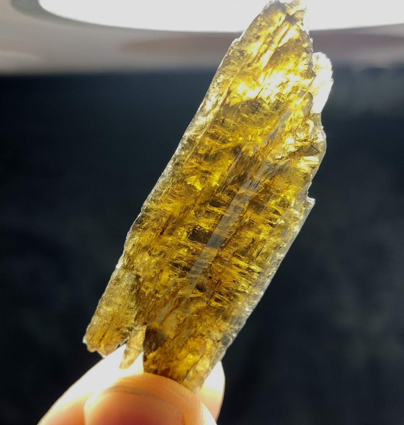 Single etched Epidote Crystal 11 grams