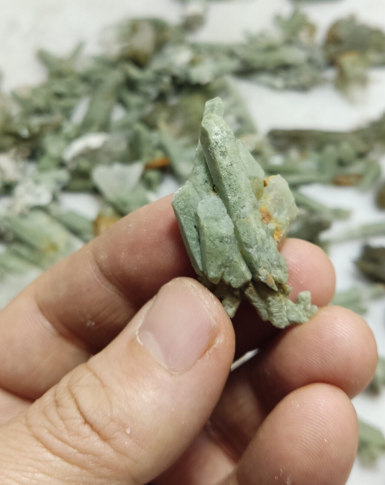 470 grams Chlorite Quartz crystals