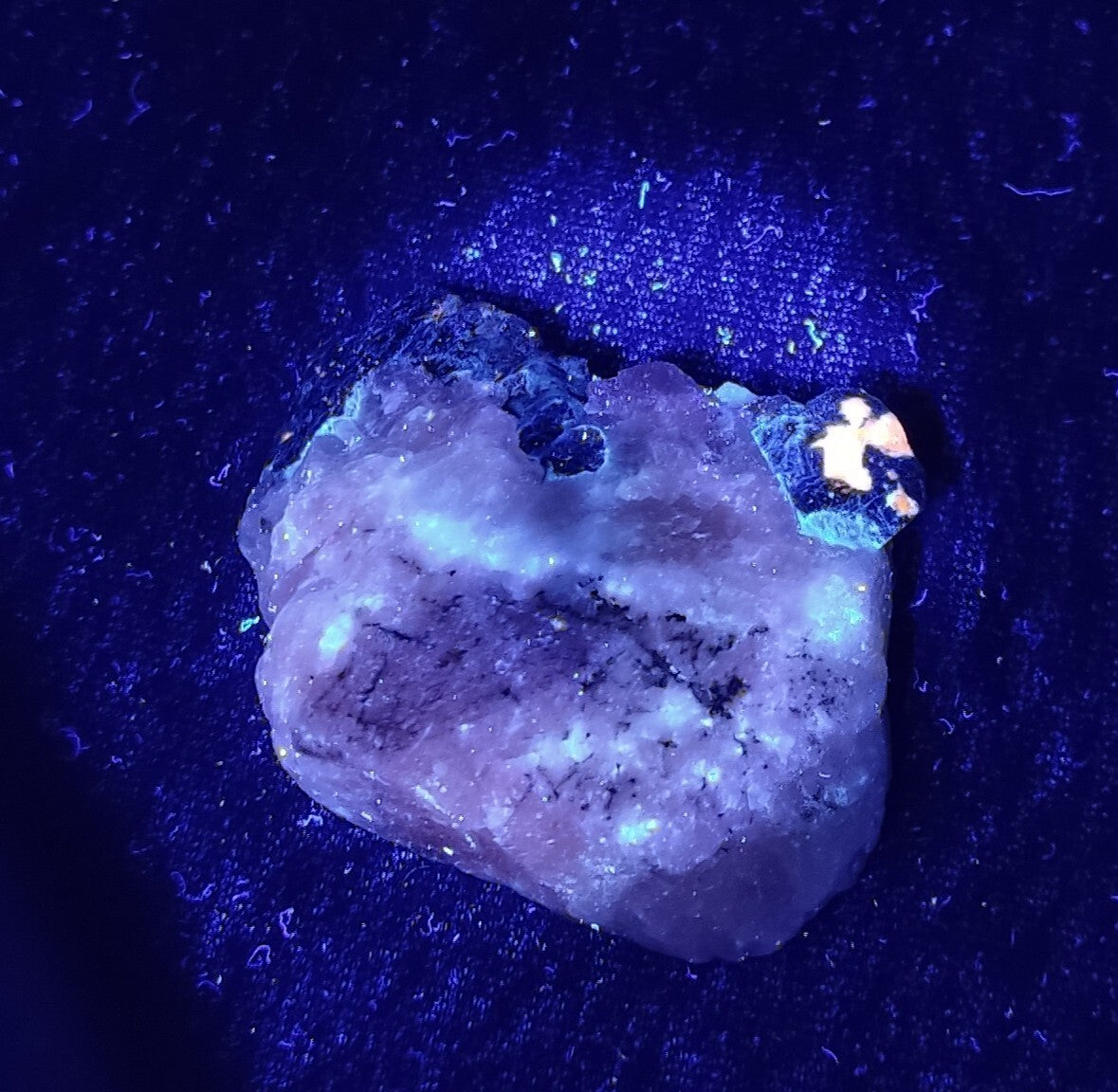 An Aesthetic specimen of fluorescent Lazurite/afghanite with Pyrite 26 grams