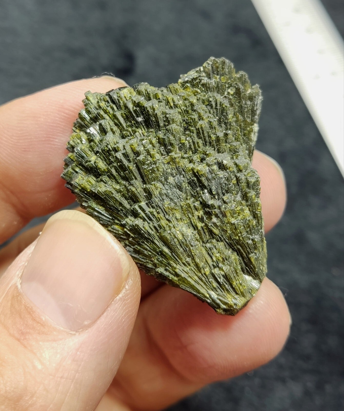 Single natural Epidote Crystal spray formations 22 grams
