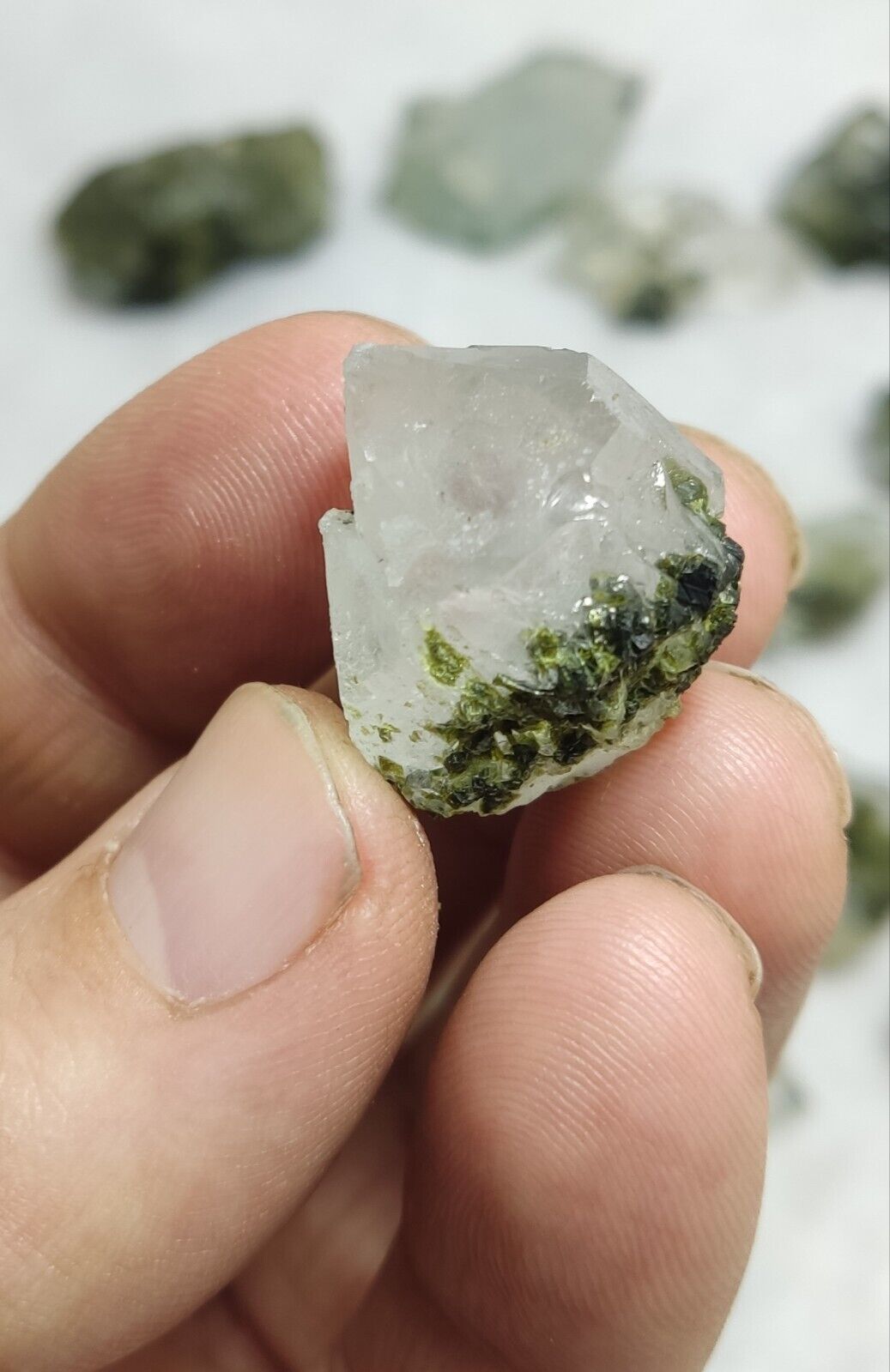 260 grams epidote Quartz crystals