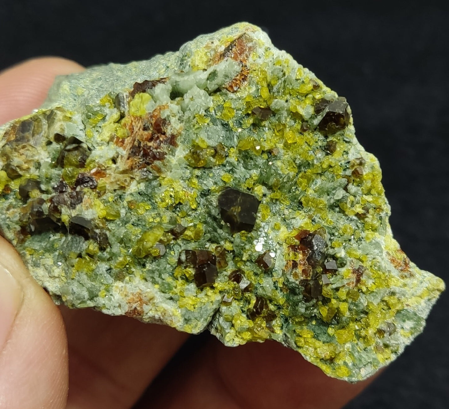 Andradite Garnets Crystals on matrix with Epidotes and Diopside 80 grams