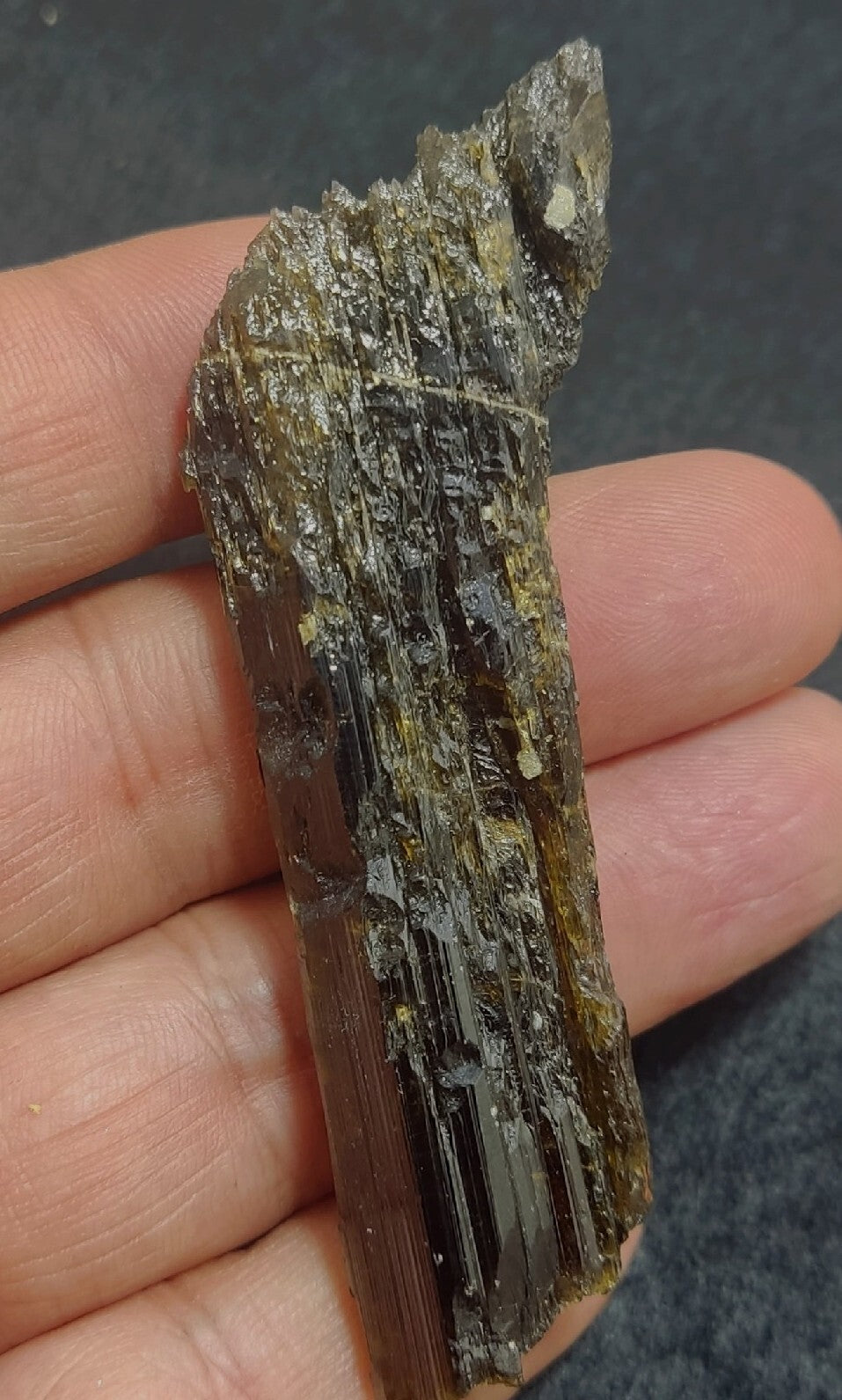 Single etched Epidote Crystal 34 grams