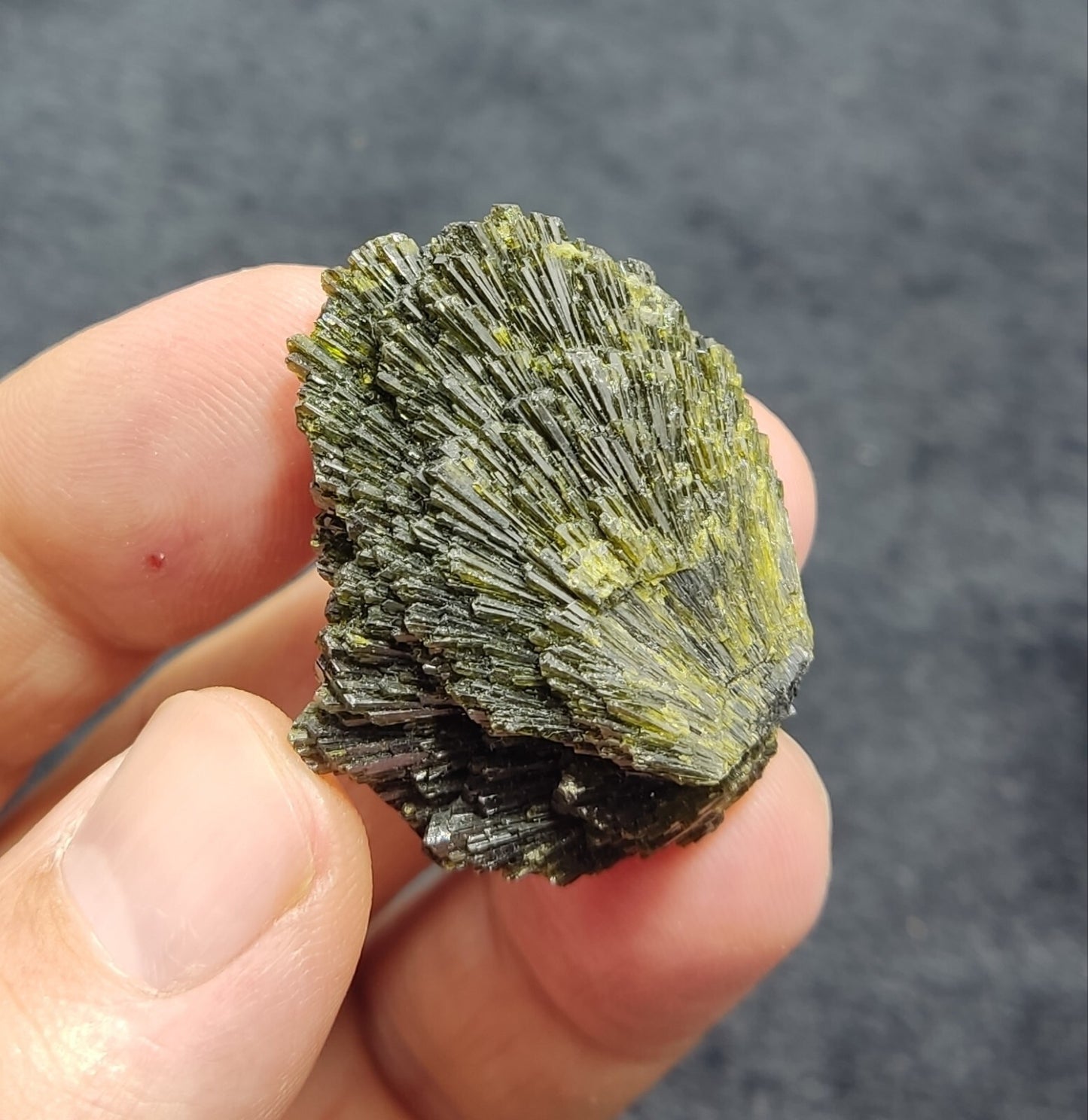 Single natural Epidote Crystal spray formations 22 grams