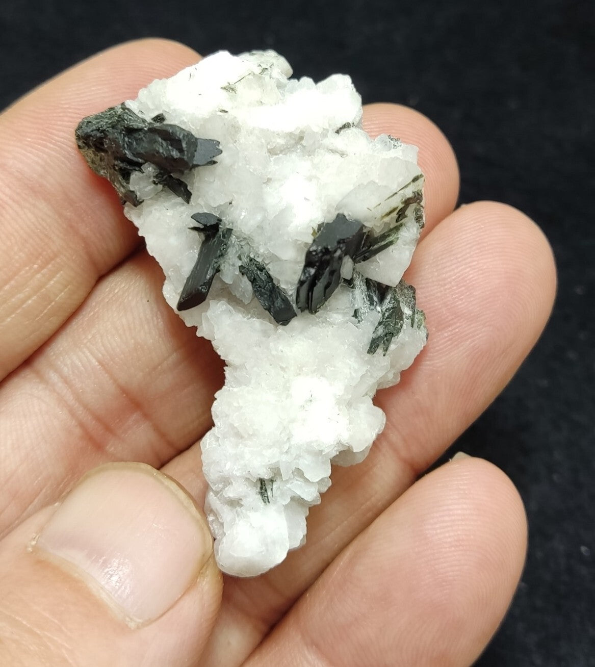 An aesthetic combo specimen of aegirine on albite 18 grams