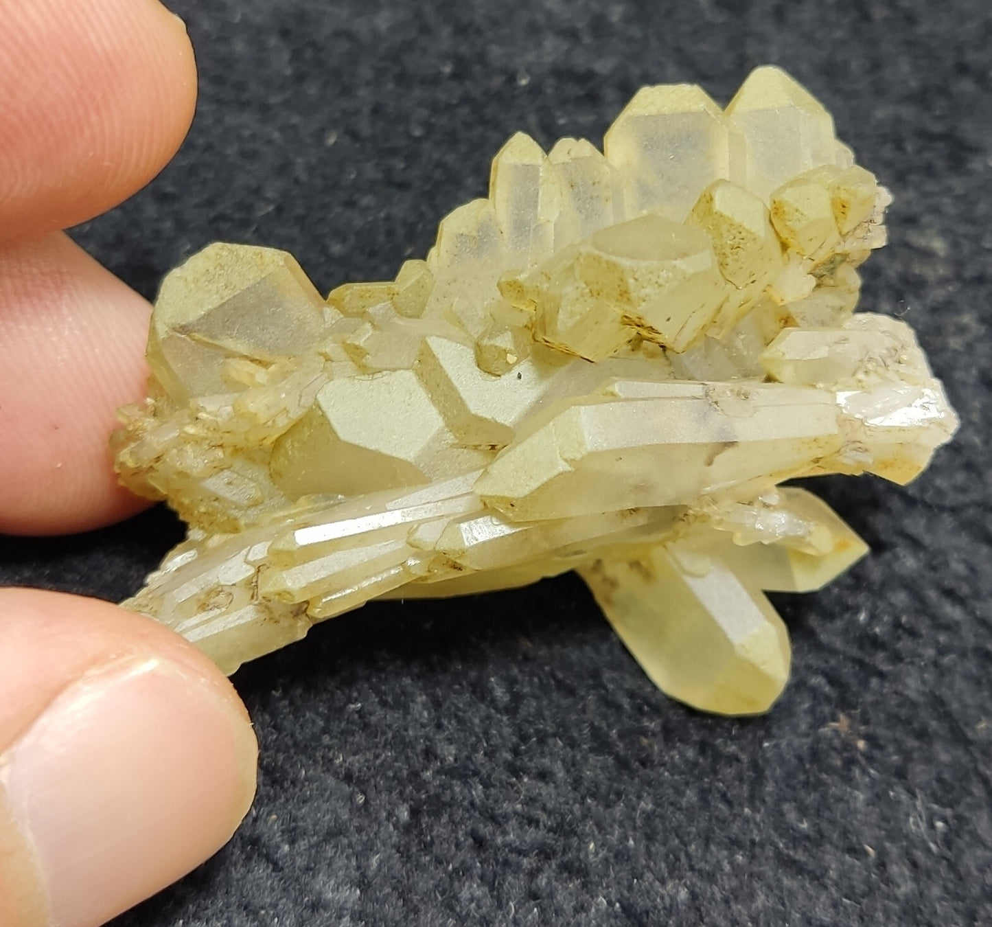 An Aesthetic specimen of faden chlorite quartz 24 grams