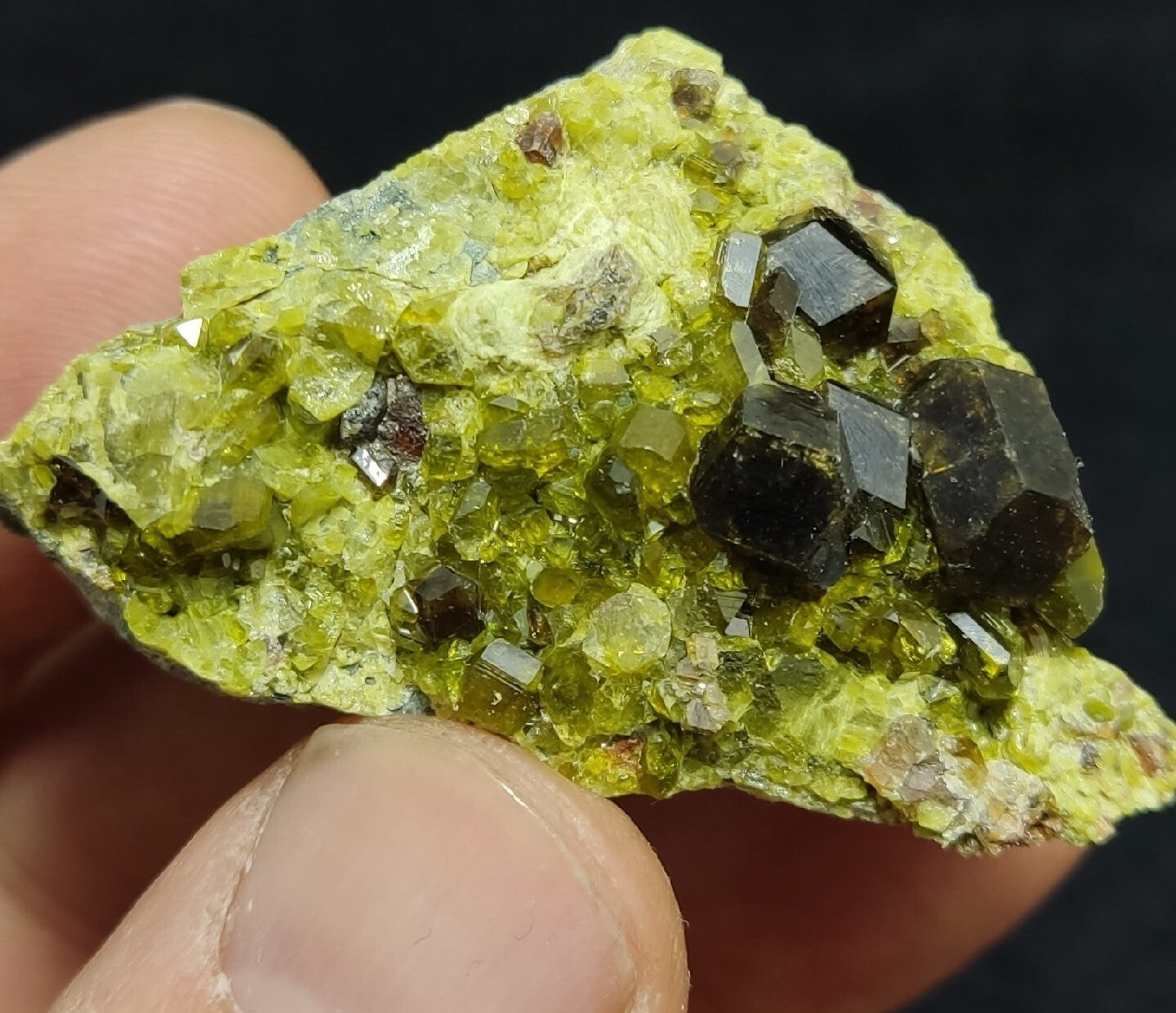 Andradite Garnets Crystals on matrix with Epidotes 40 grams