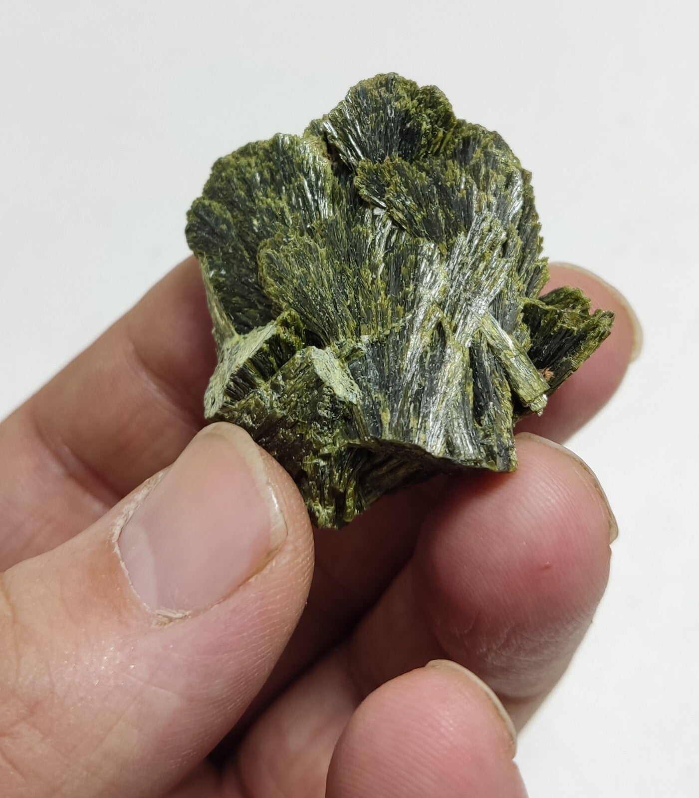 An aesthetic specimen of epidote crystal spray type 31 grams