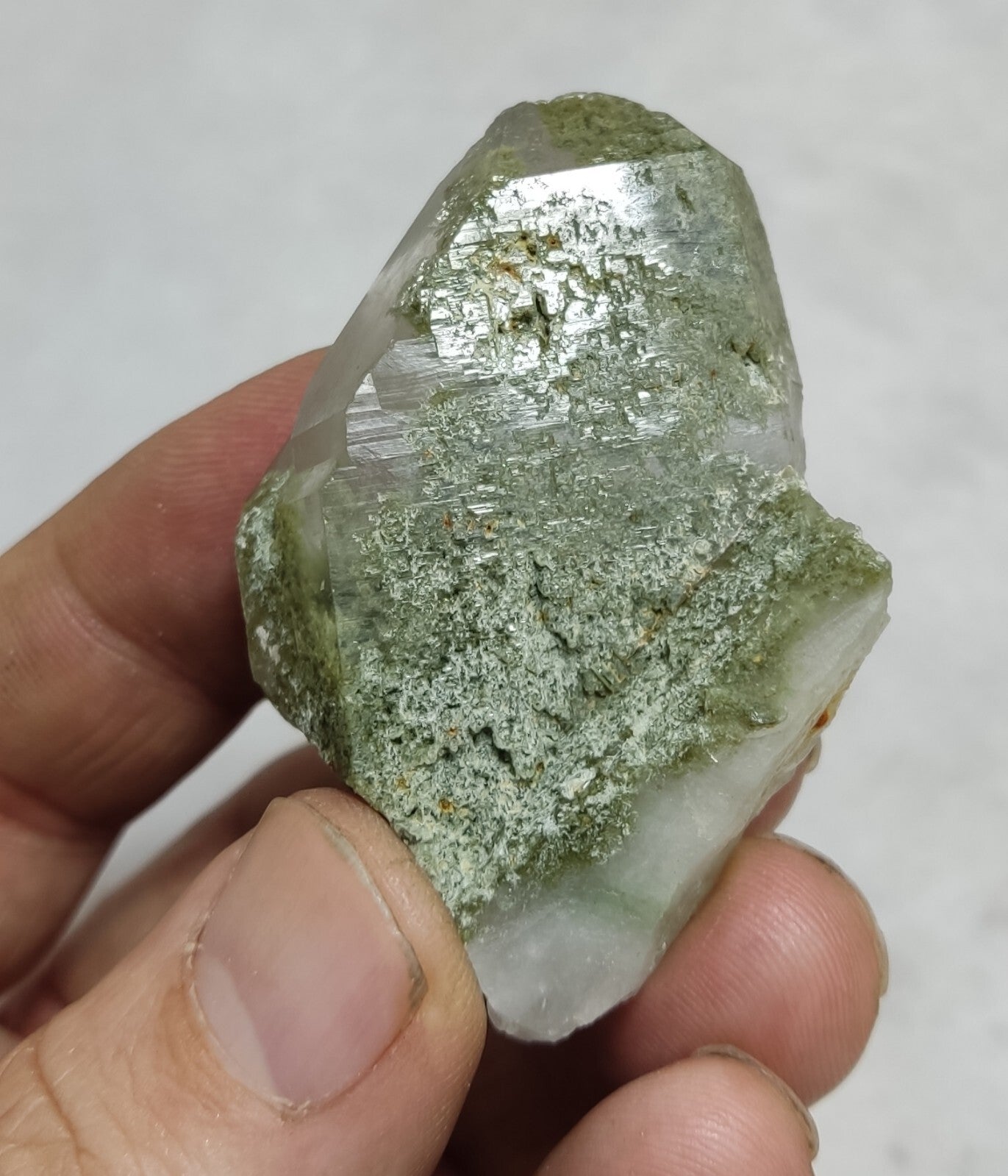 An Aesthetic terminated chlorite Quartz crystal 43 grams