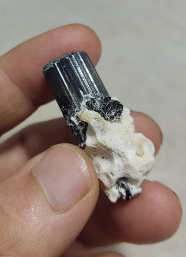 Black Tourmaline Crystal with Albite Feldspar 14 grams