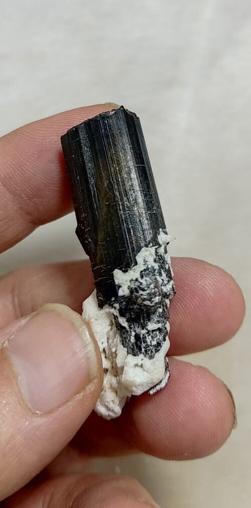 Natural Terminated Black Tourmaline Crystal 22 grams