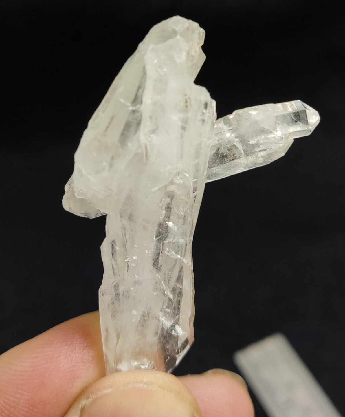An Aesthetic terminated specimen of Faden Quartz crystal 13 grams