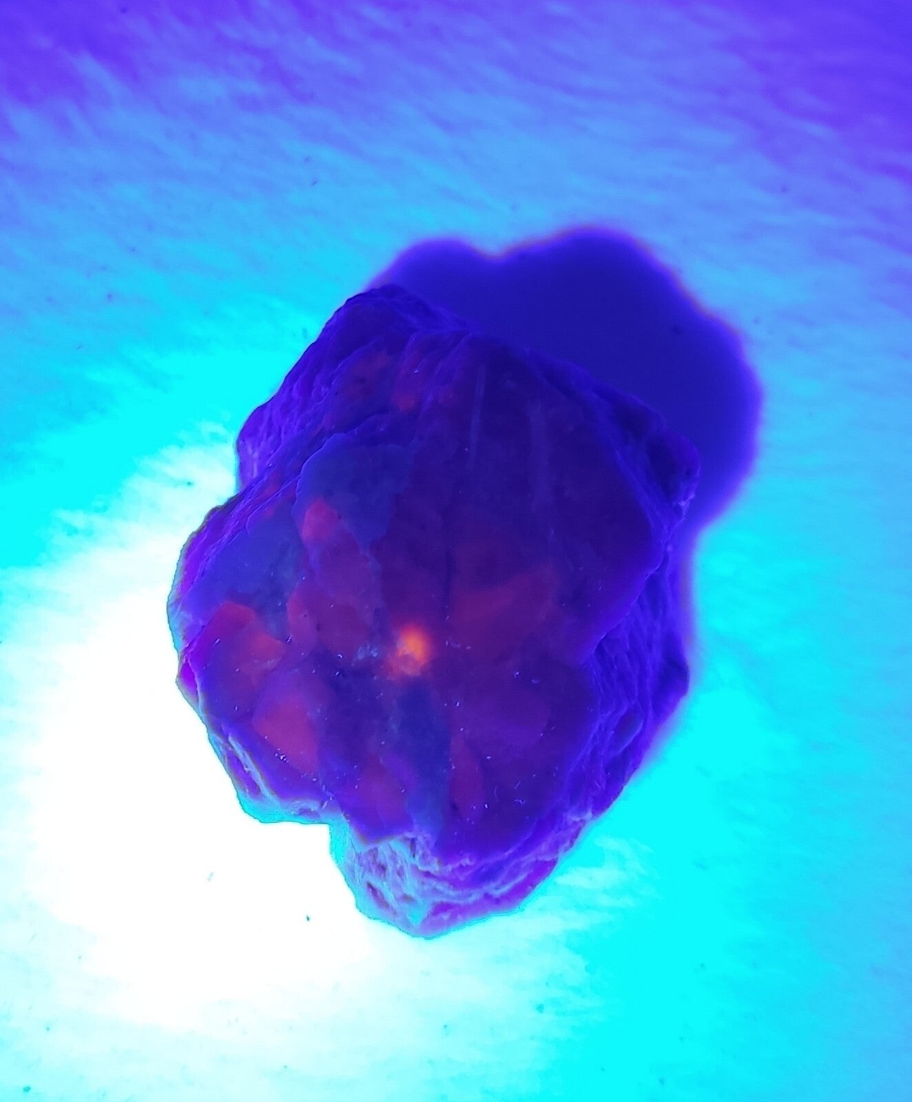 An amazing specimen of fluorescent rough hackmanite chunk 51 grams