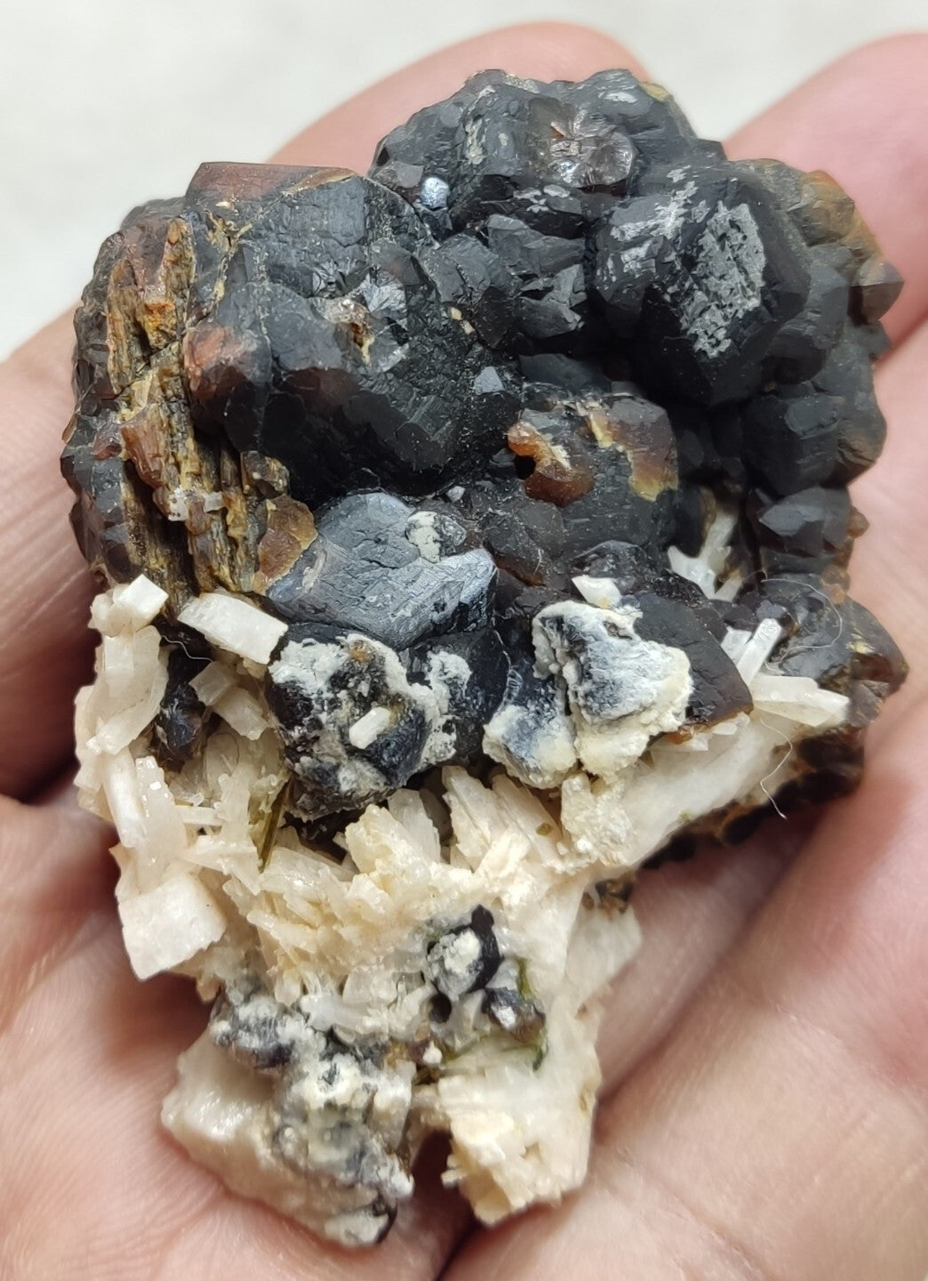 An Aesthetic specimen of andradite garnets on matrix 120 grams