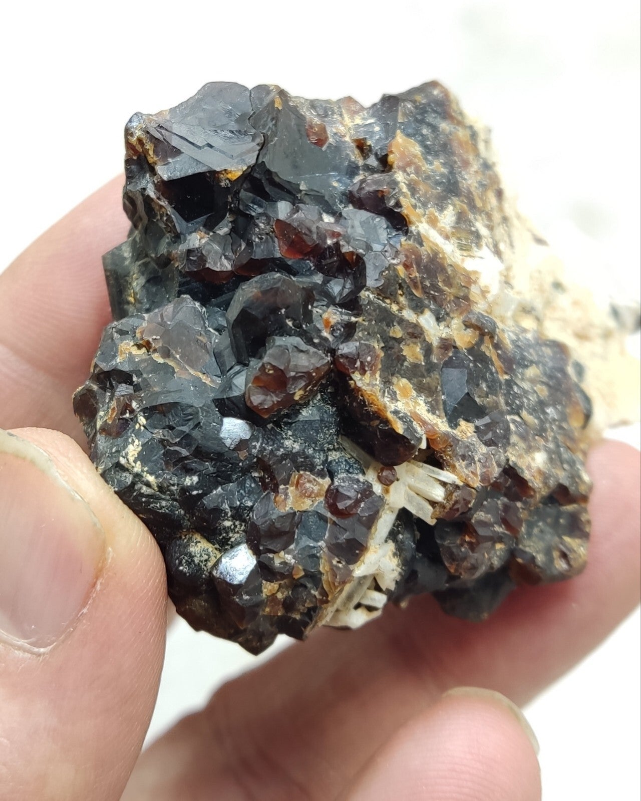 An Aesthetic specimen of andradite garnets on matrix 120 grams
