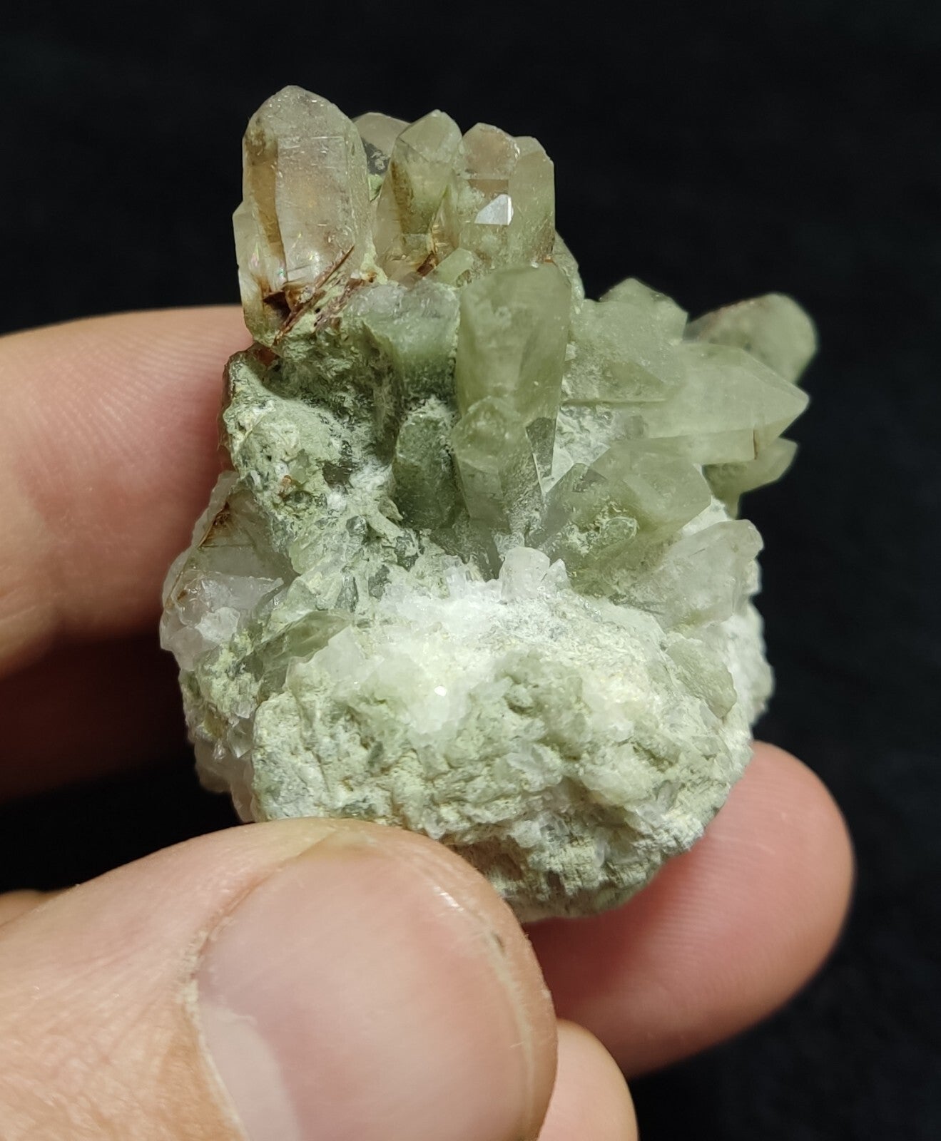 An Aesthetic terminated chlorite Quartz specimen with brookite 61 grams