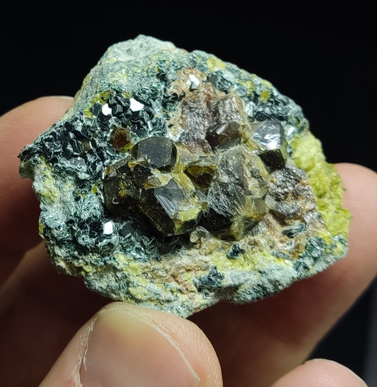 Andradite garnets on matrix with epidote and clinochlore 56 grams