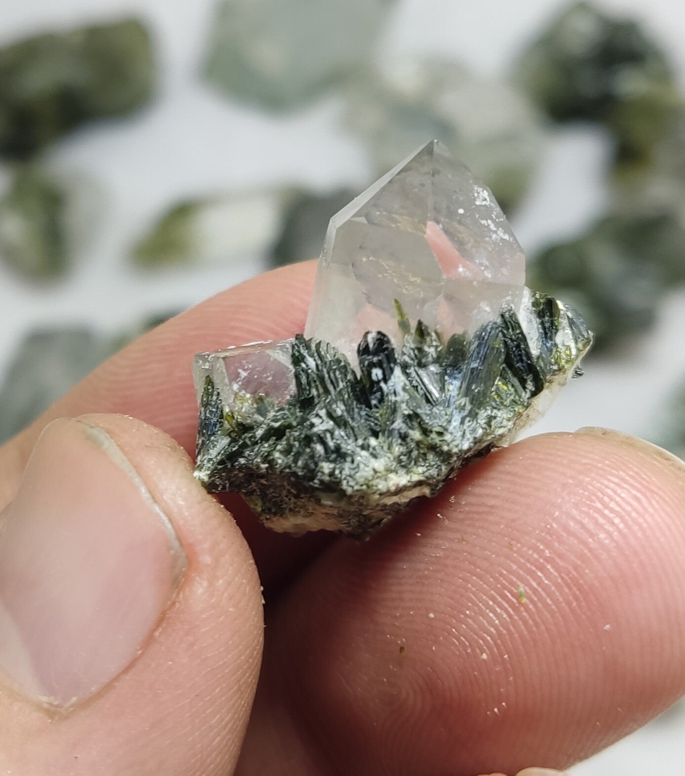 260 grams epidote Quartz crystals