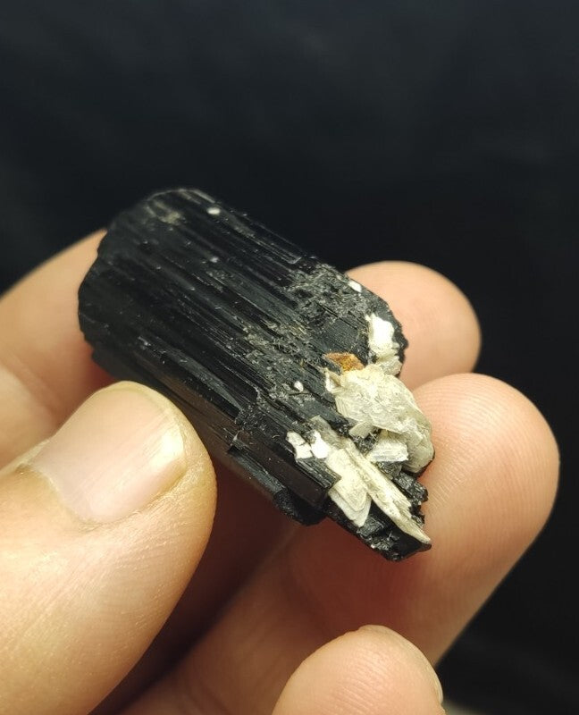 Natural Terminated Black Tourmaline Crystal 24 grams