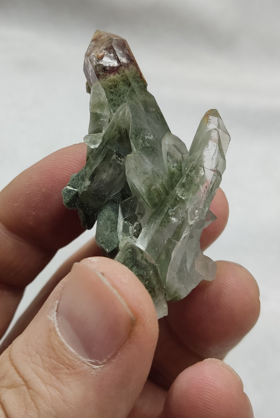 An Aesthetic terminated chlorite Quartz specimen 33 grams