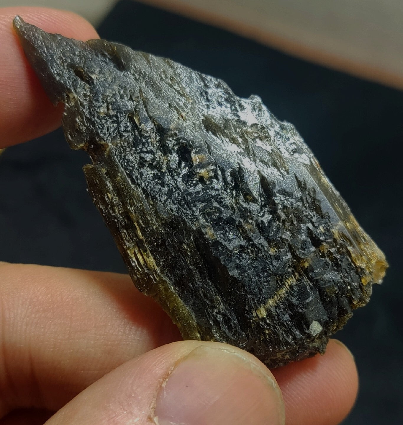 Single etched Epidote Crystal 32 grams