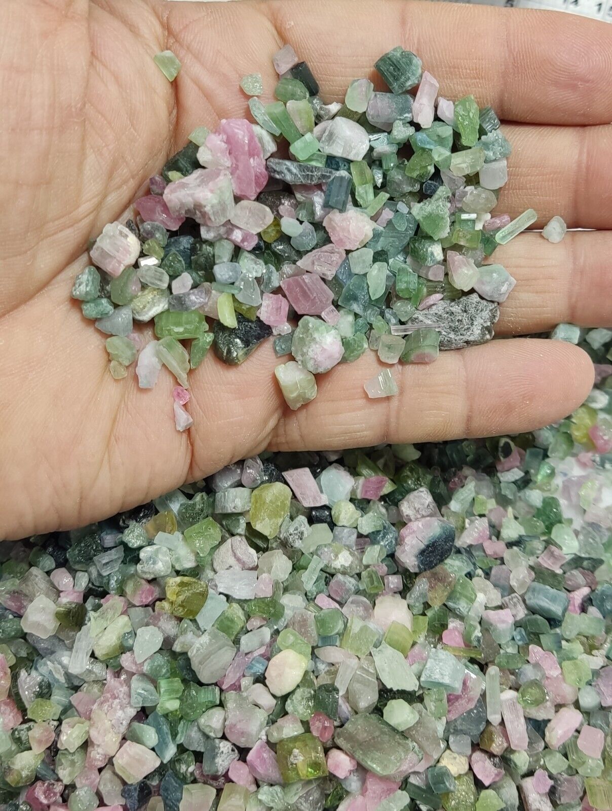 500 grams beautiful rough tourmalines