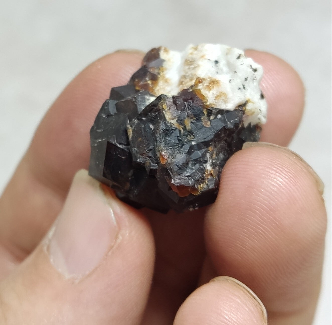 An Aesthetic specimen of andradite garnets on matrix 18 grams