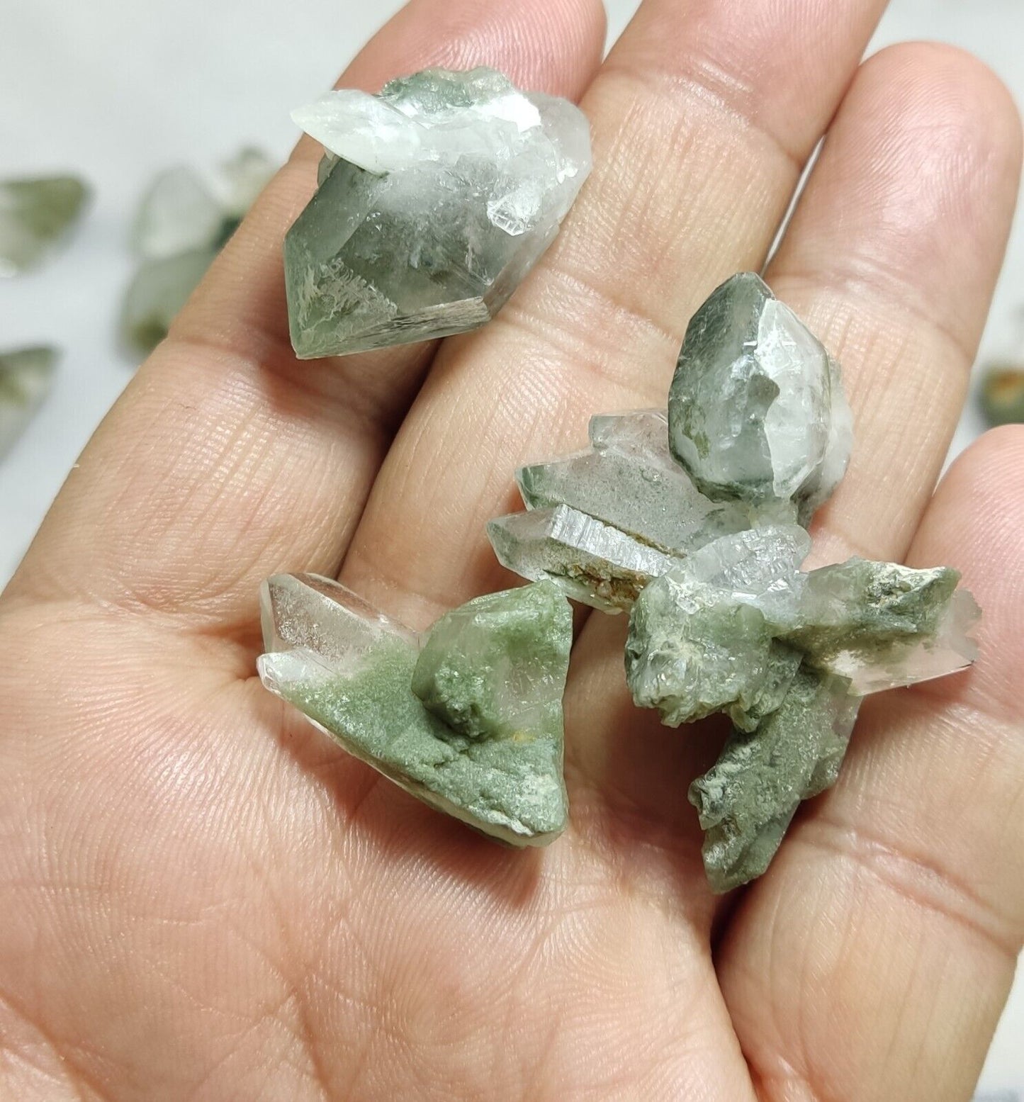 345 grams Chlorite Quartz crystals