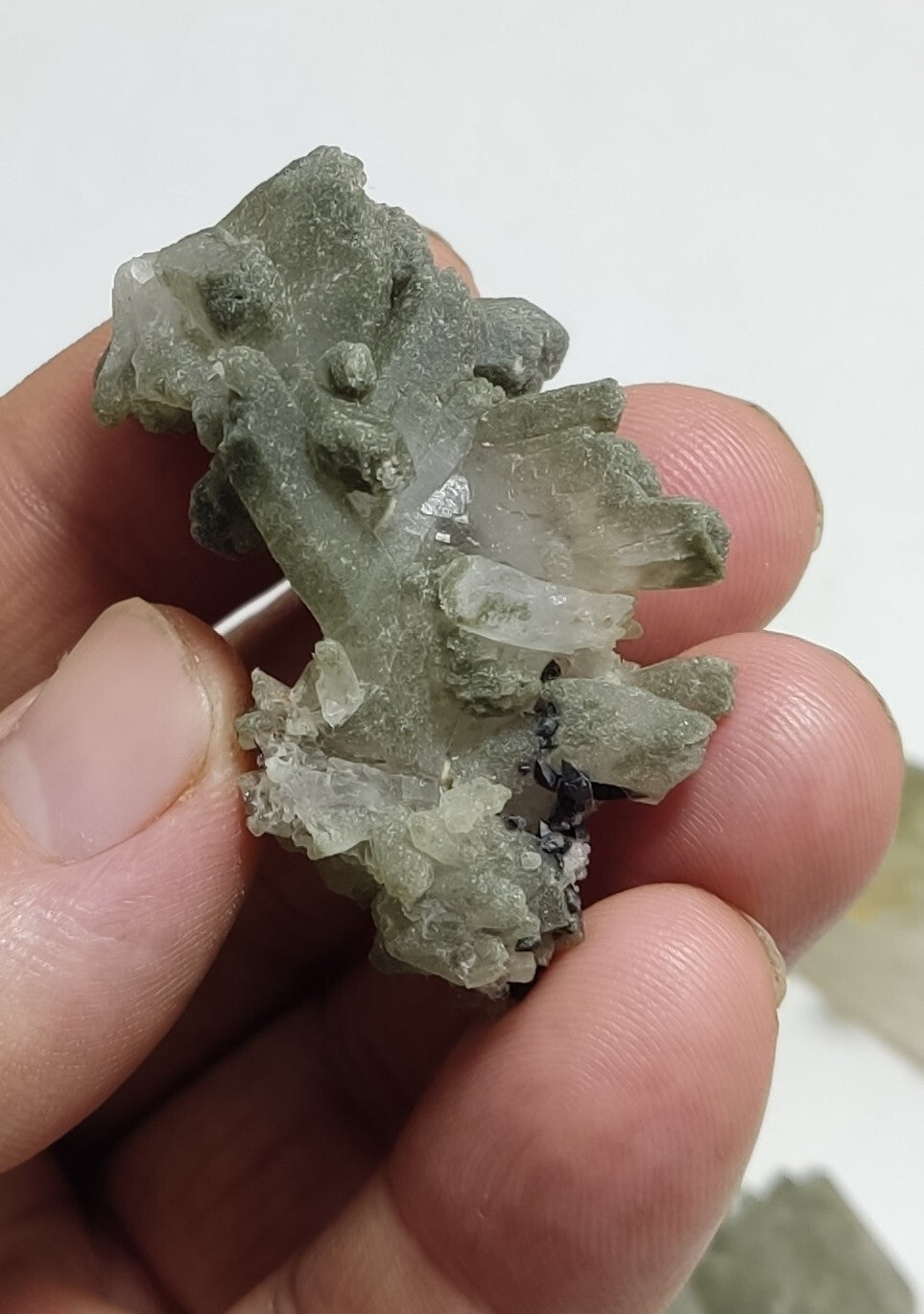 An Aesthetic terminated chlorite Quartz clusters lot of  4 specimens
