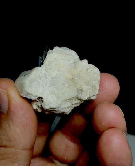 Tourmaline on albite