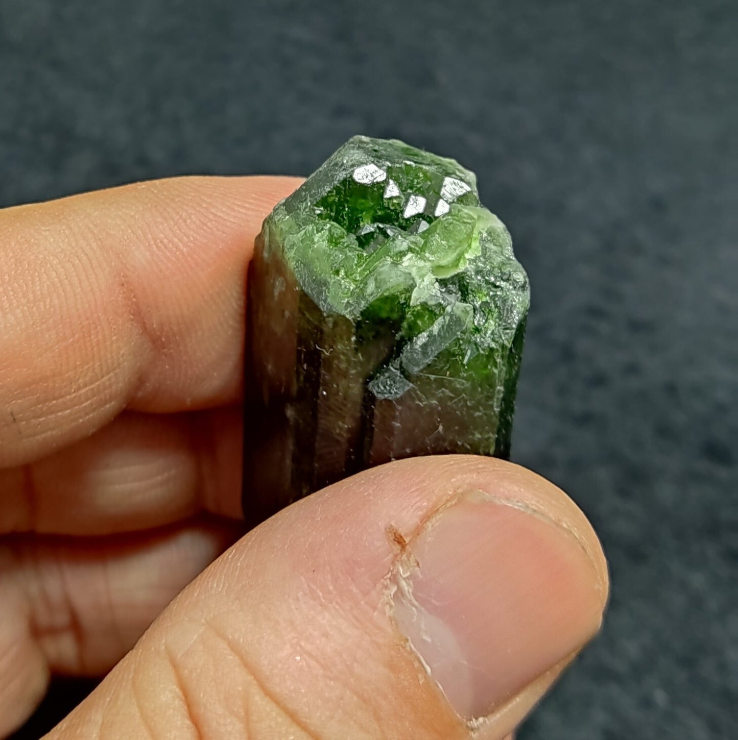 An amazing specimen of diopside crystal 48 grams