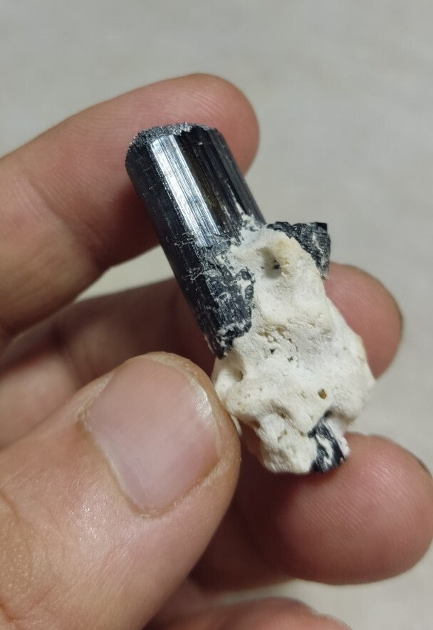 Black Tourmaline Crystal with Albite Feldspar 14 grams