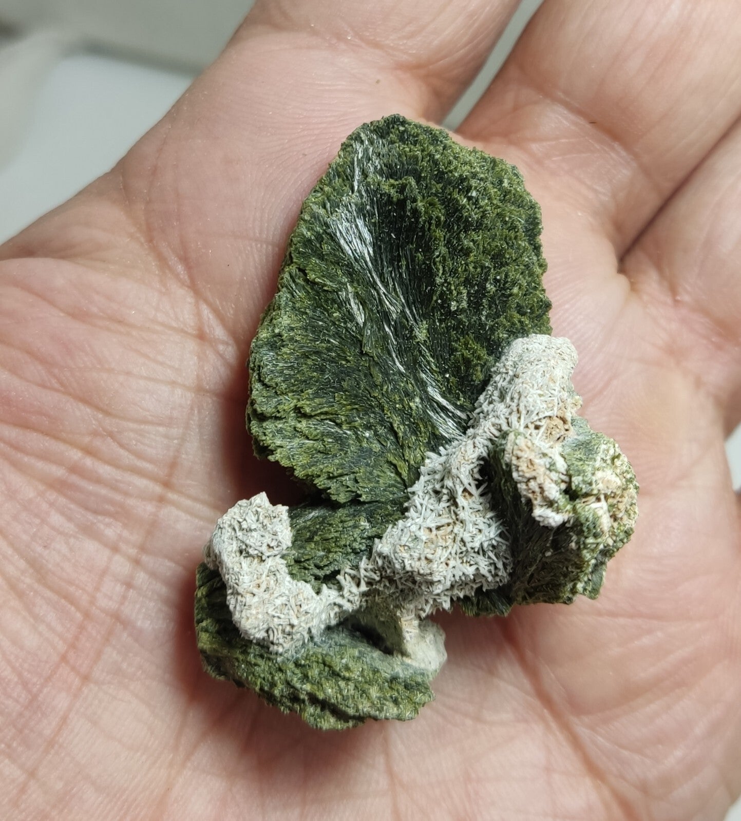 An aesthetic specimen of epidote crystal spray type 34 grams