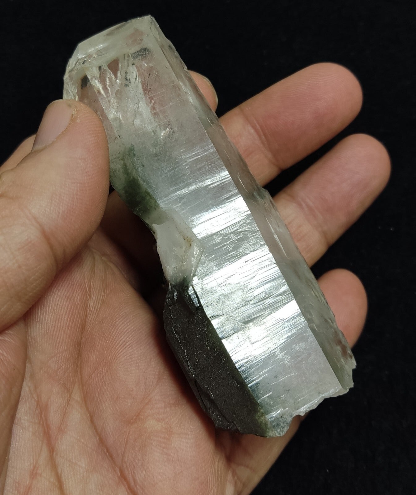 An Aesthetic specimen of chlorite included quartz crystal 134 grams